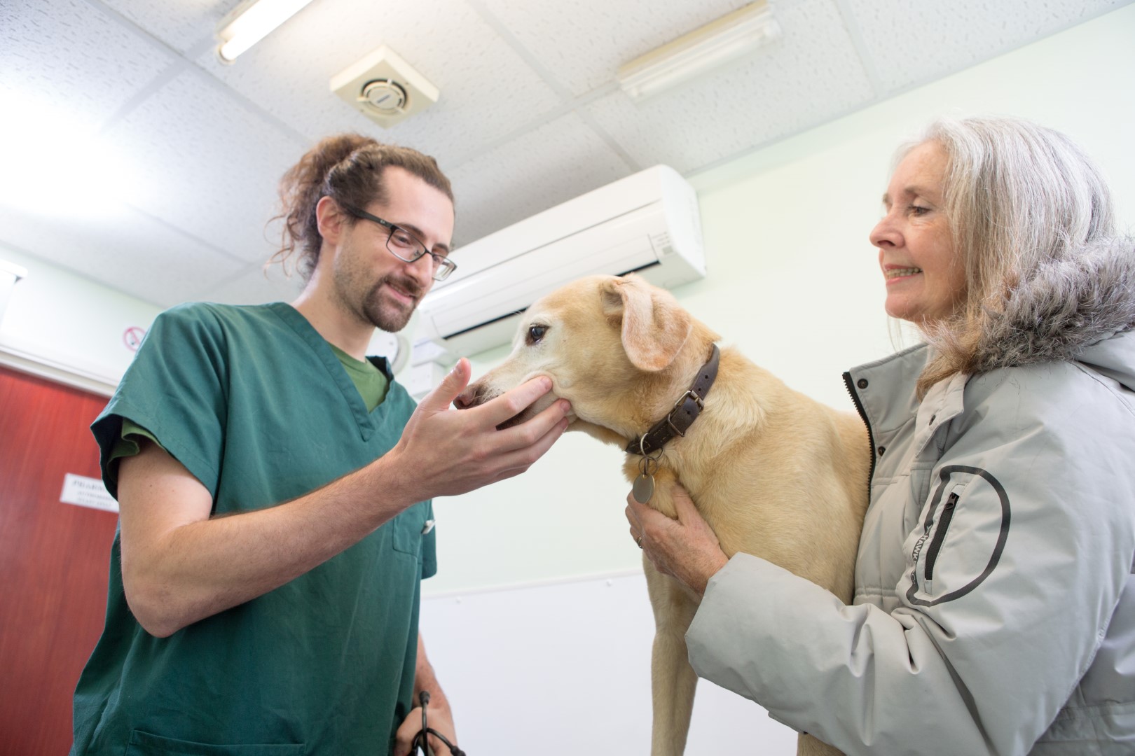 Briar House Veterinary Surgery Home Visits Briar House Veterinary Surgery