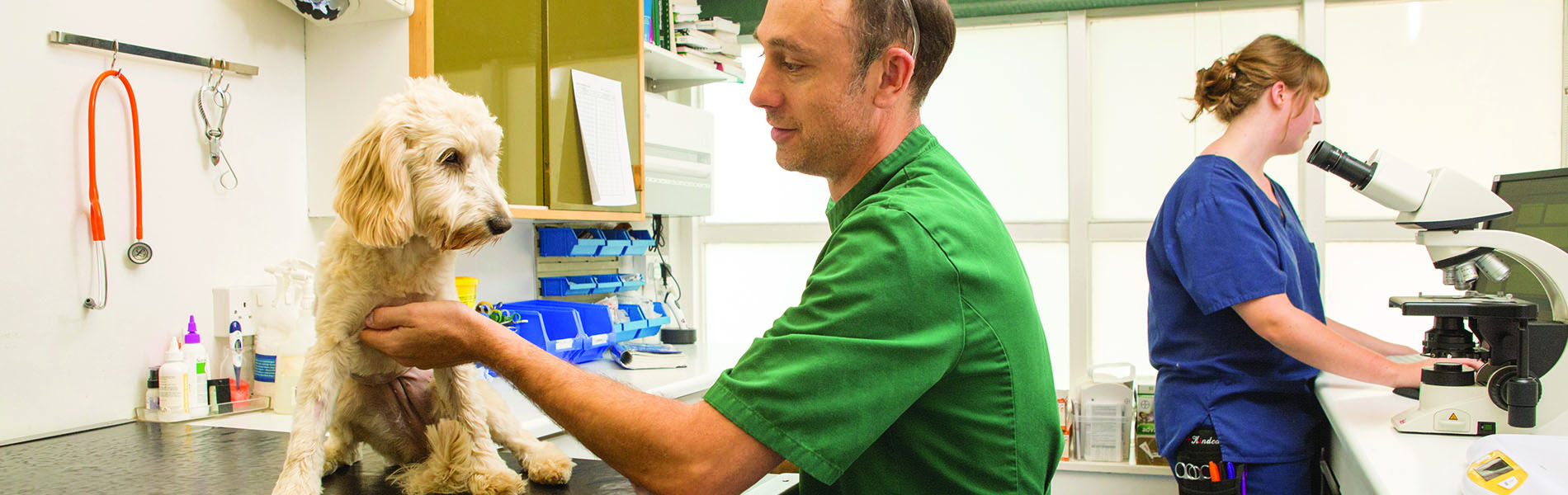 Briar House Veterinary Surgery Health Checks and Clinics Briar House