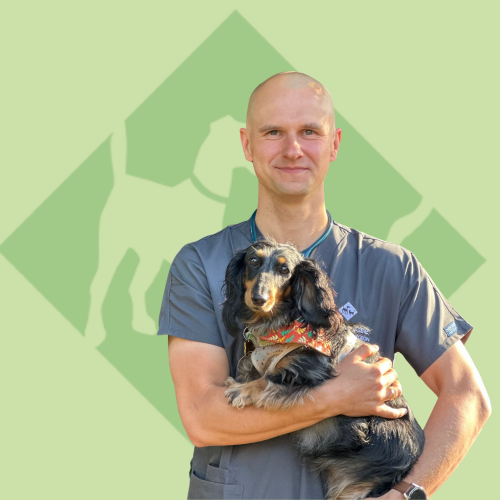 Maciej