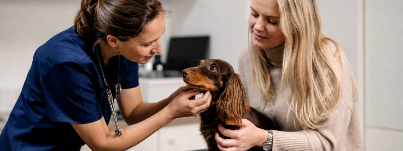 How Preventative Healthcare Saves Money