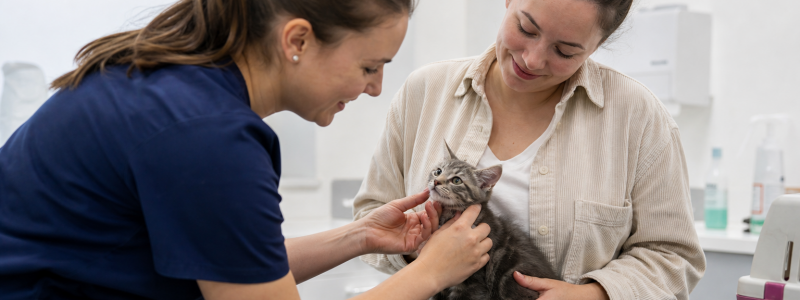 Puppy & Kitten Health Checks Explained